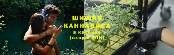 mdma Горнозаводск
