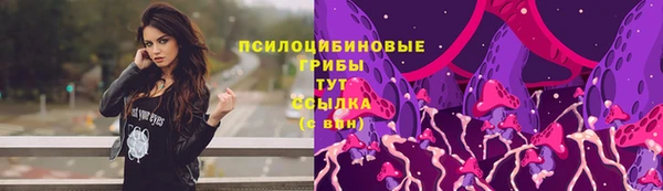 mdma Горнозаводск
