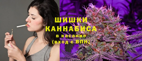 твердый Горно-Алтайск