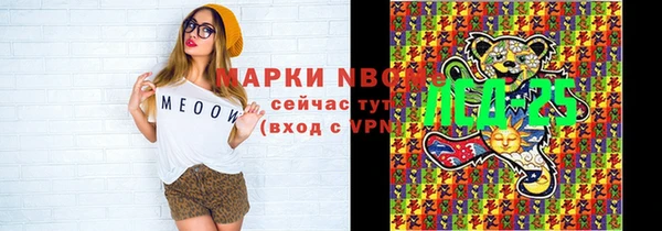 твердый Горно-Алтайск