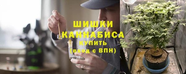 гидропоника Вяземский