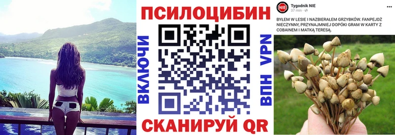 магазин  наркотиков  Комсомольск-на-Амуре  кракен   Галлюциногенные грибы GOLDEN TEACHER 